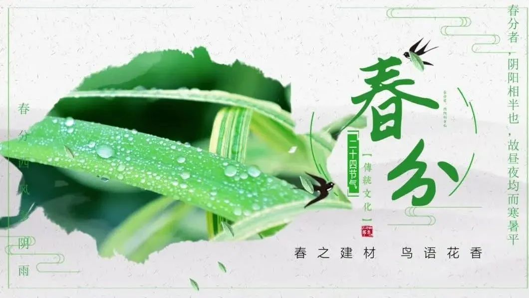 今日春分 | 春之建材，鸟语花香