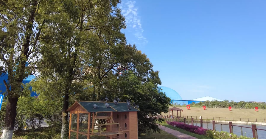 春来好时光，花圃工厂朝气勃勃