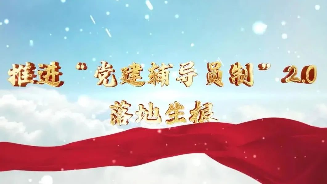  党建经营融合十佳案例④ | 西南水泥——“领导员造”+“进建型组织”，让党建成为看得见的“出产力” 